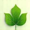 Leaf icon for green practices